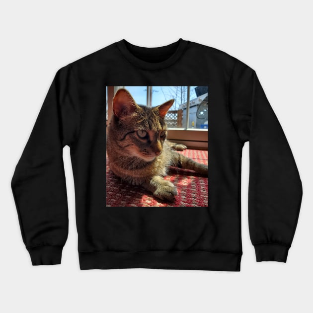 Riley the Derp King Crewneck Sweatshirt by Tara Liz Art